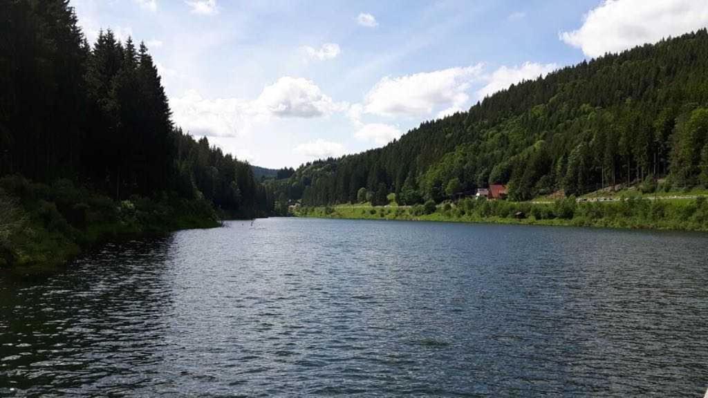 Haus Waldeck Furtwangen Exterior foto